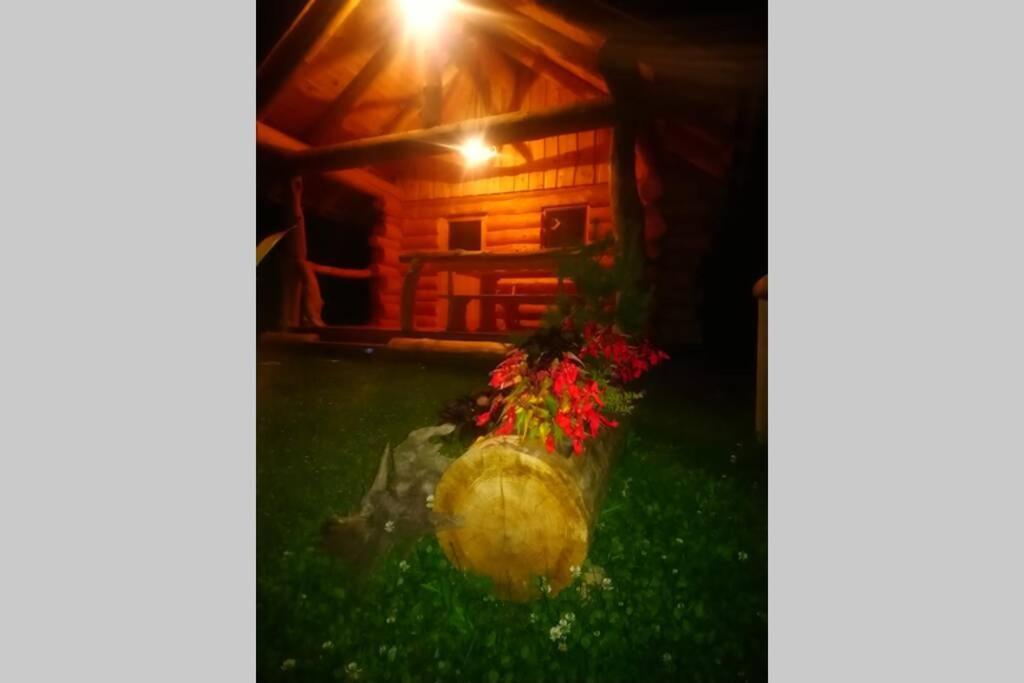 Hut At The Forest Male Brusnice Dış mekan fotoğraf