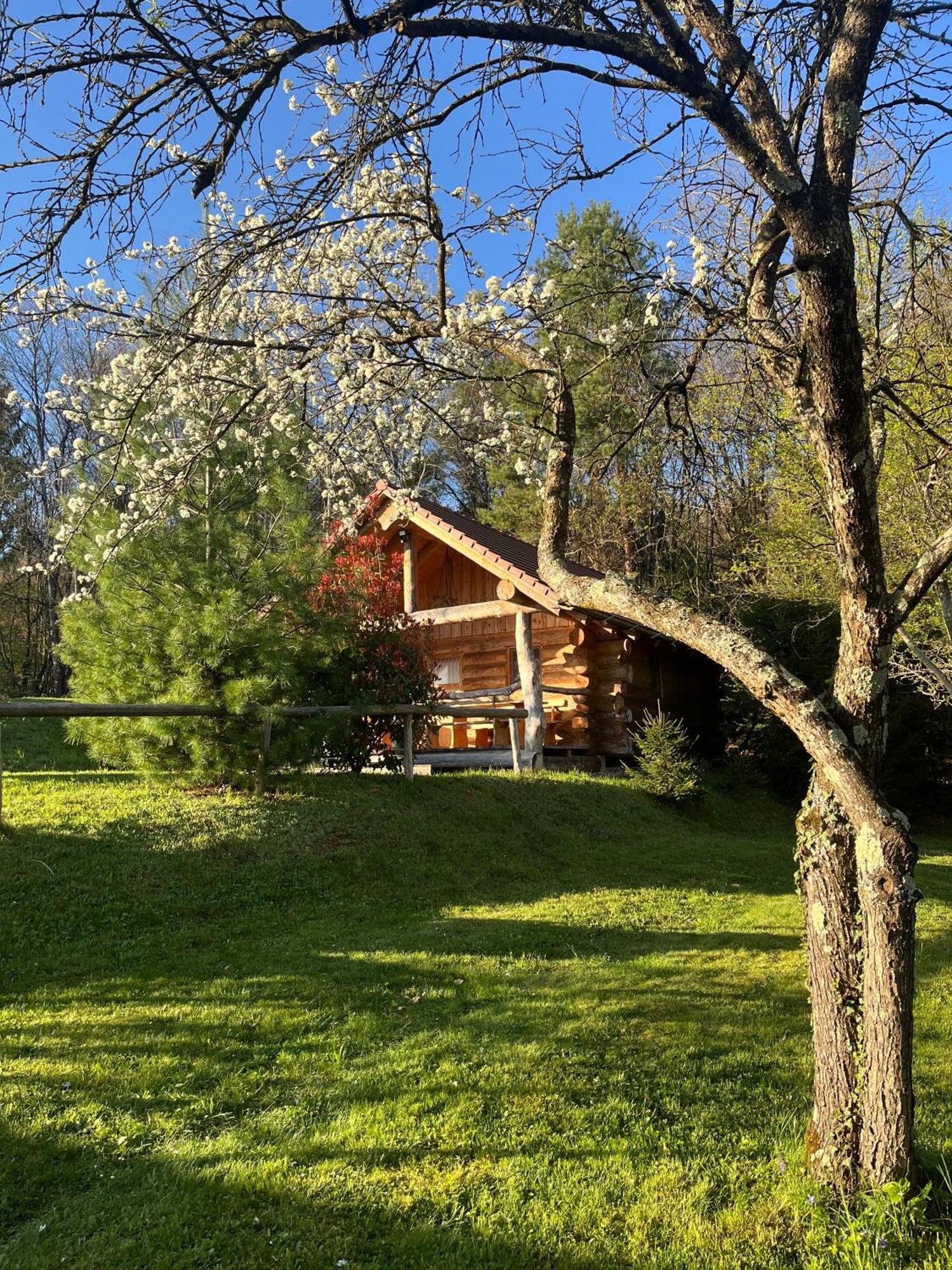 Hut At The Forest Male Brusnice Dış mekan fotoğraf